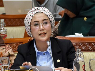 Selly Andriany Gantina, Anggota Komisi VIII DPR RI