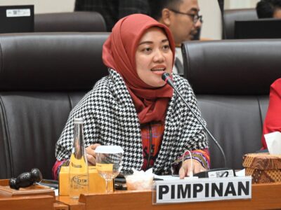 Wakil Ketua Komisi VII DPR RI dari Fraksi PKB, Chusnunia