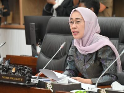 Ketua Komisi VI DPR RI, Anggia Erma Rini