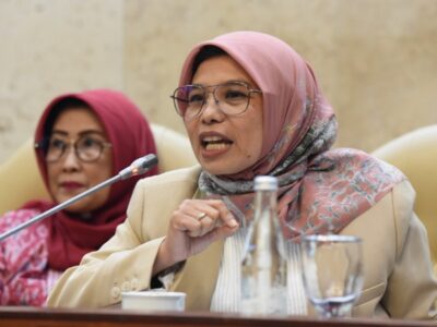 Neng Eem Marhamah Zulfa Hiz, Anggota Komisi IX DPR RI